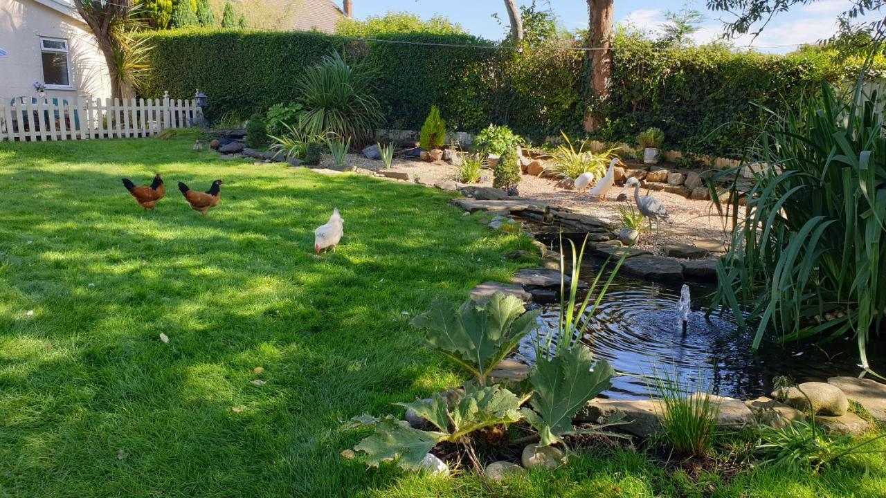 The Duck House Apartman Swansea Kültér fotó